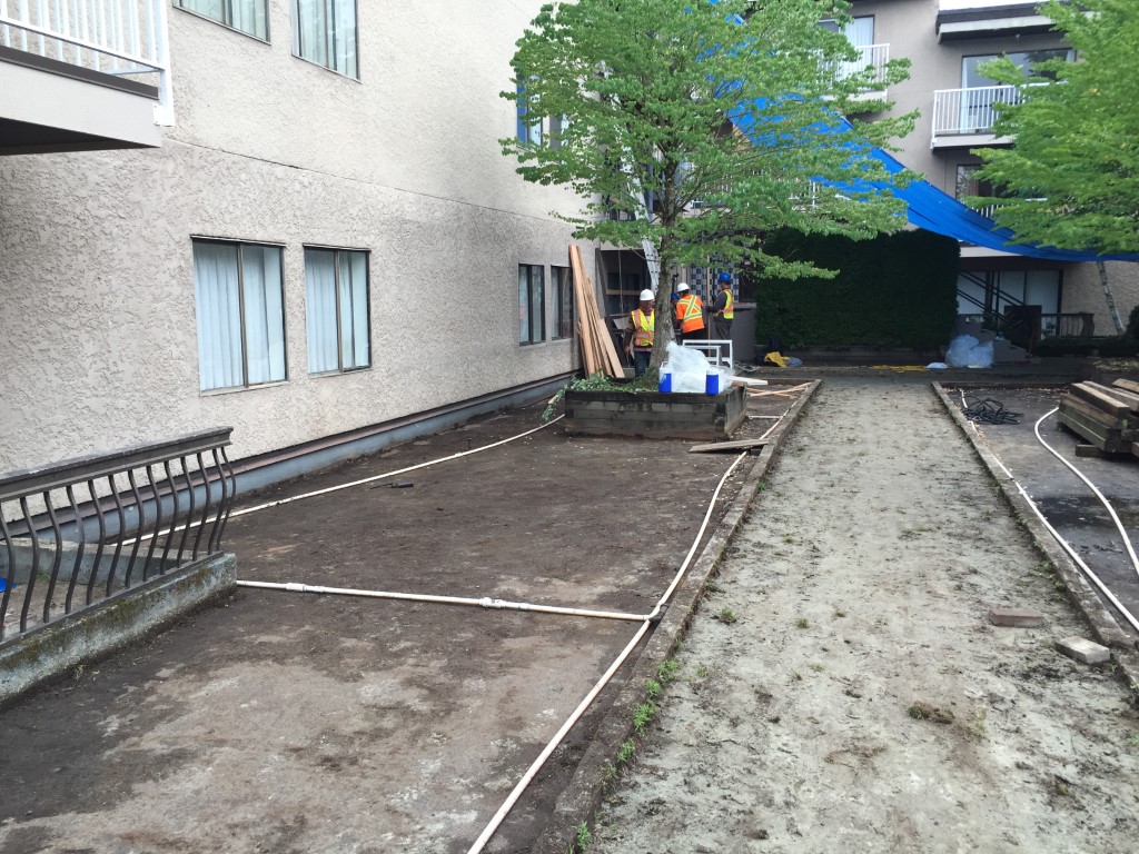 Renaissance On Shaw Project